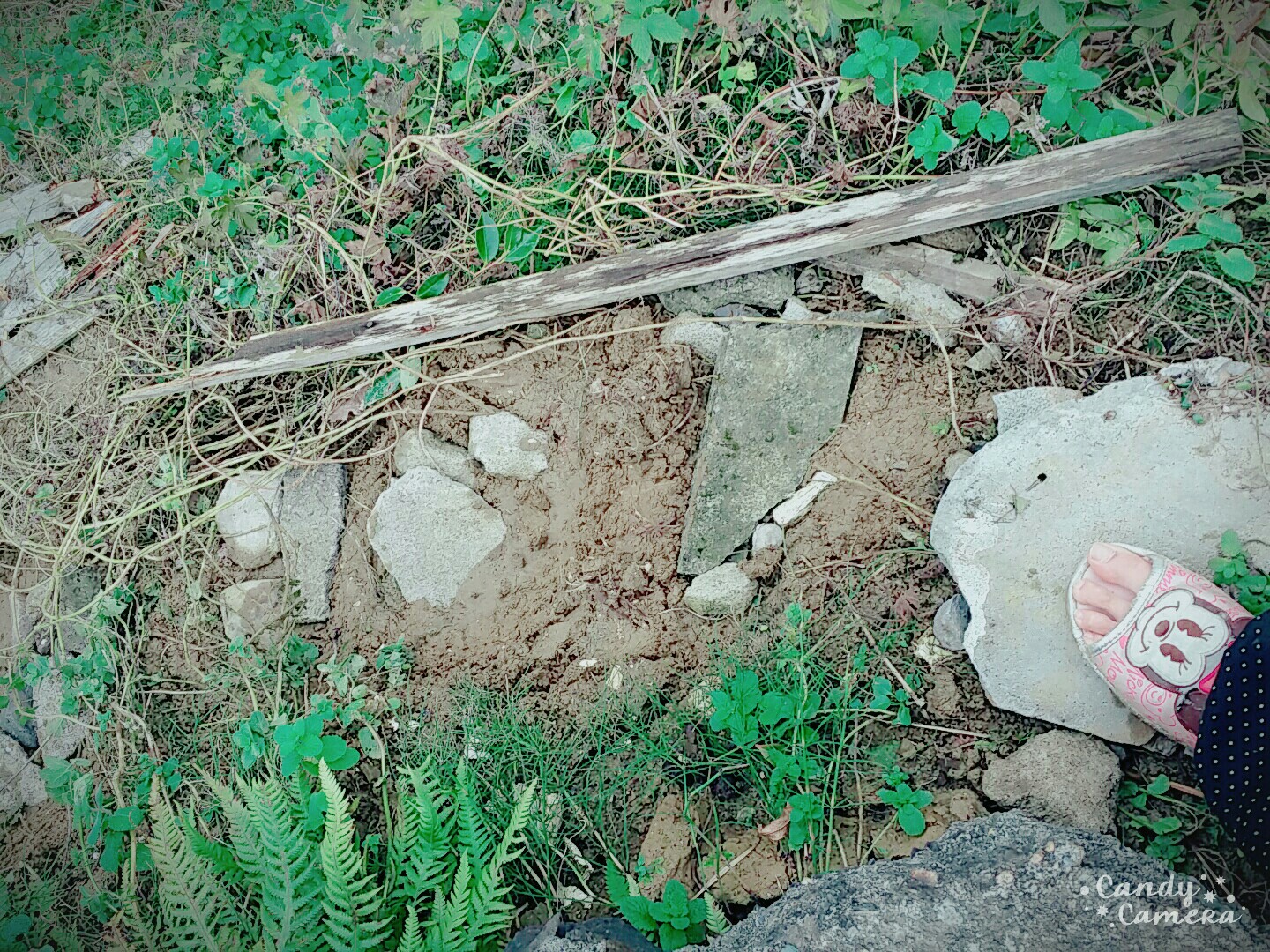f:id:panyannya:20151206111531j:image f:id:panyannya:20151206111531j:image