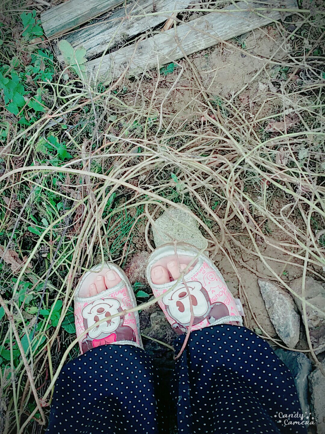 f:id:panyannya:20151206130649j:image f:id:panyannya:20151206130649j:image