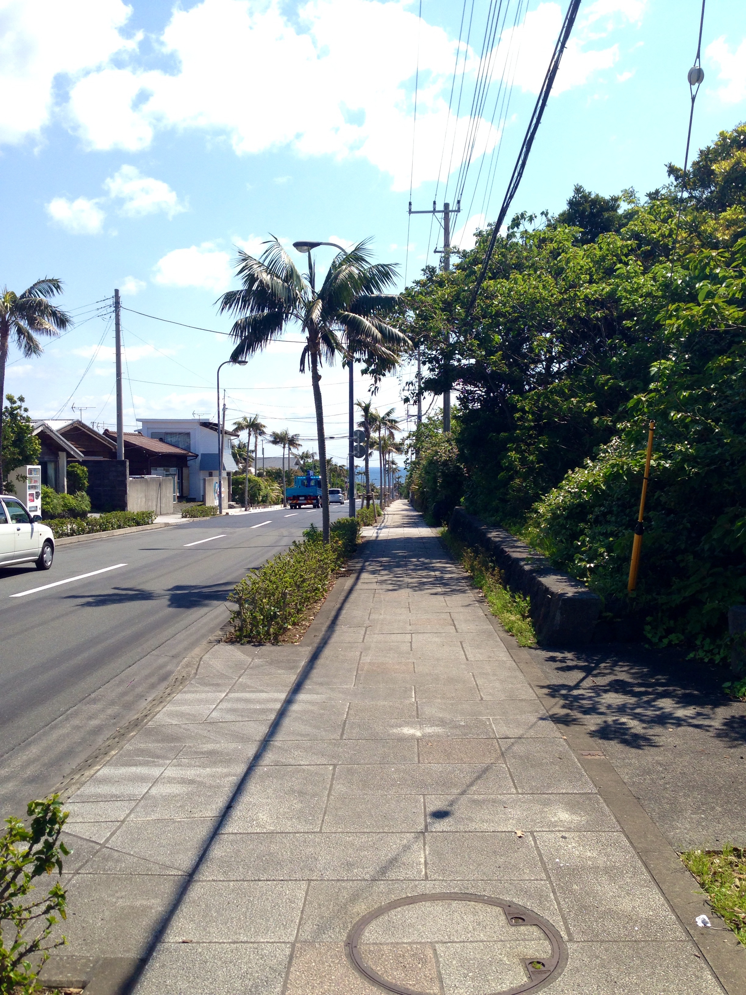 f:id:papenpucho:20140527223223j:plain f:id:papenpucho:20140527223223j:plain