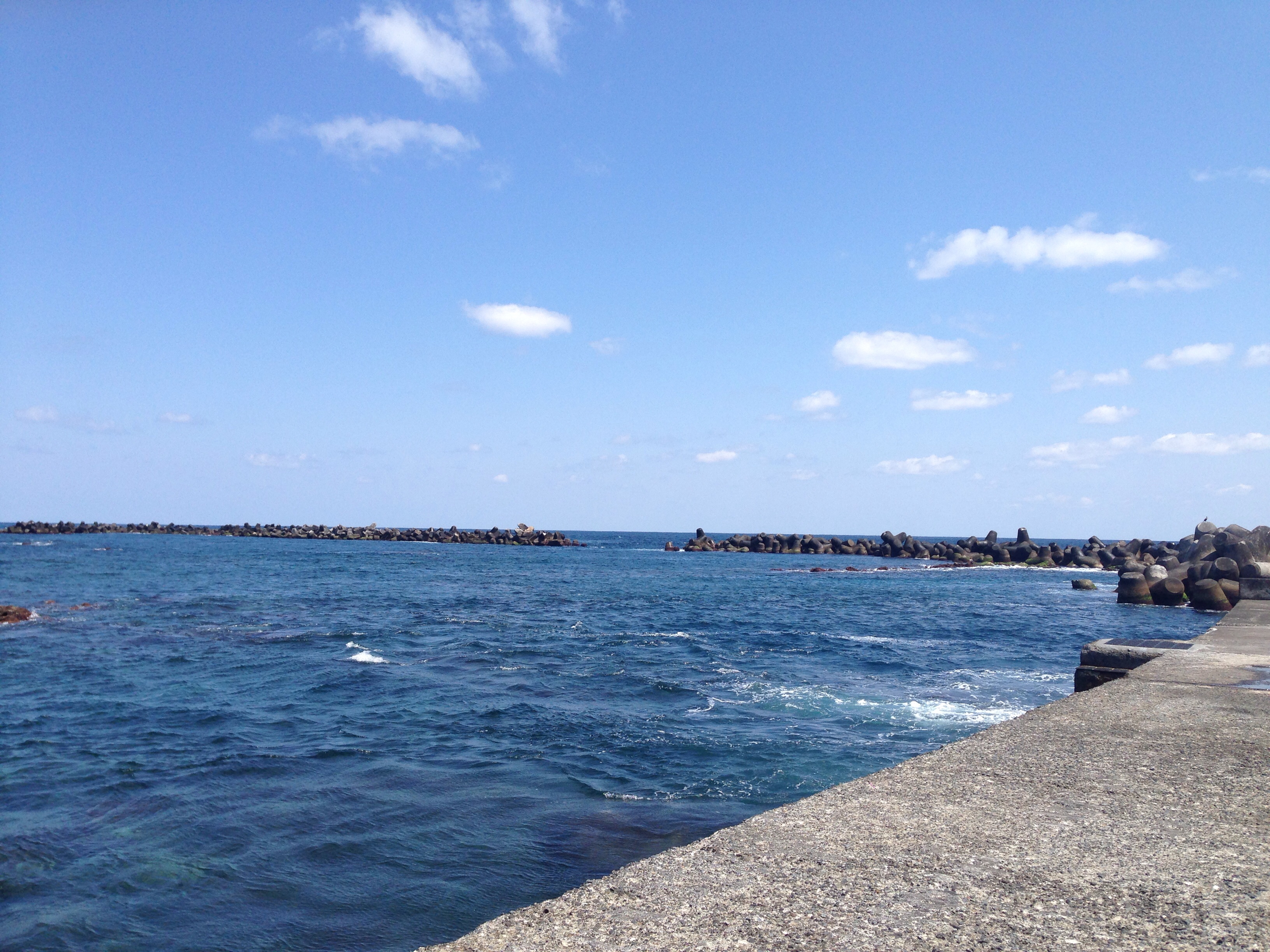 f:id:papenpucho:20140527223604j:plain f:id:papenpucho:20140527223604j:plain