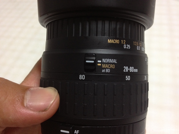 シグマ広角マクロズーム　スタビライザー付 Amazon | SIGMA 超広角ズームレンズ 10-20mm F4-5.6 EX DC