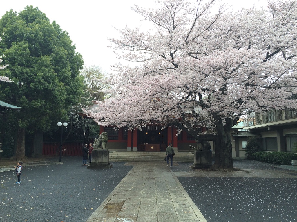 f:id:paradoxs:20160403173041j:image f:id:paradoxs:20160403173041j:image