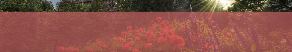 f:id:paris1204:20160228104932p:plain f:id:paris1204:20160228104932p:plain