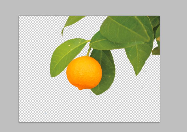 f:id:paris1204:20160302235236j:plain f:id:paris1204:20160302235236j:plain