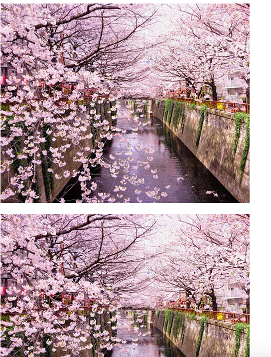 f:id:paris1204:20160305014226p:plain f:id:paris1204:20160305014226p:plain