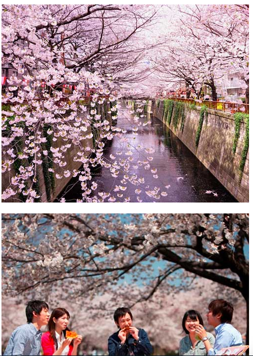 f:id:paris1204:20160305014235p:plain f:id:paris1204:20160305014235p:plain