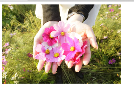 f:id:paris1204:20160316231348p:plain f:id:paris1204:20160316231348p:plain