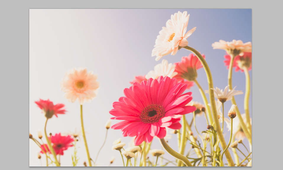 f:id:paris1204:20160401210452p:plain f:id:paris1204:20160401210452p:plain