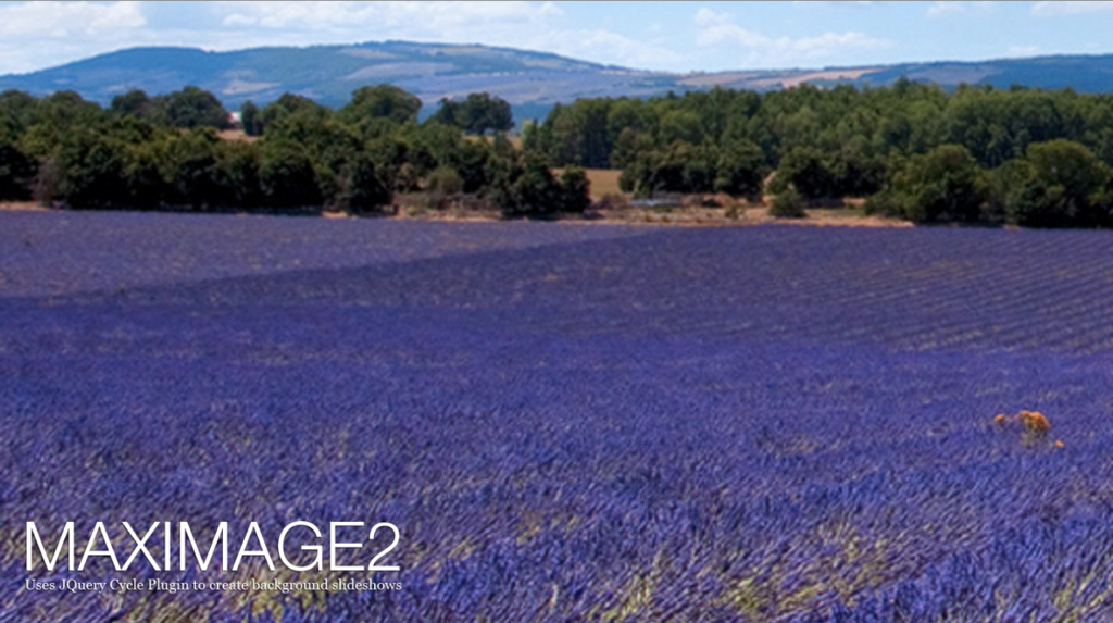 f:id:paris1204:20160601202127p:plain f:id:paris1204:20160601202127p:plain