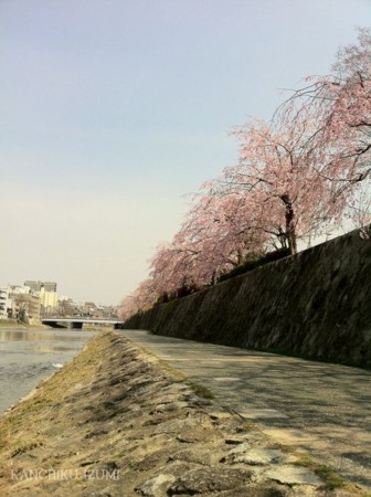 f:id:pasoco:20110402225130j:image f:id:pasoco:20110402225130j:image
