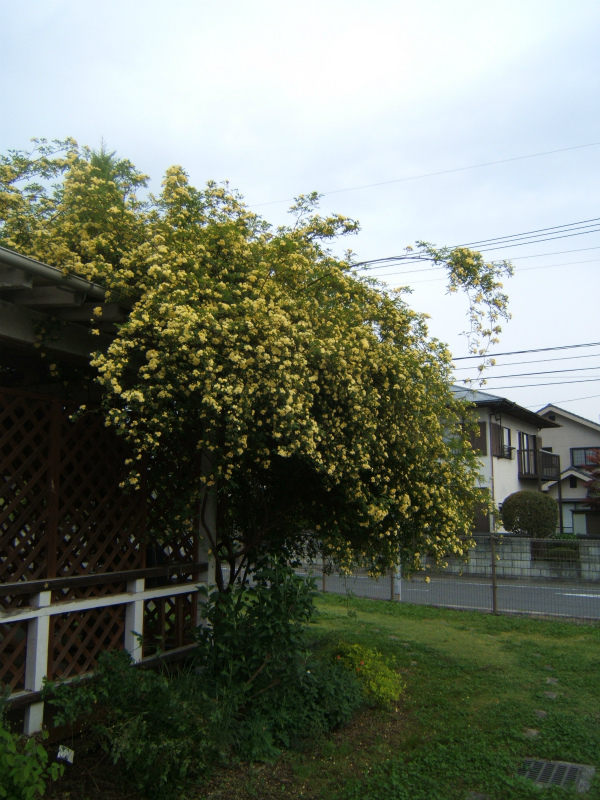 f:id:pastimeanzai:20120508224715j:plain f:id:pastimeanzai:20120508224715j:plain