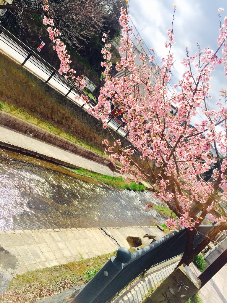 f:id:pccityboy:20160324152749j:image f:id:pccityboy:20160324152749j:image