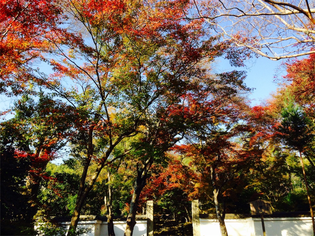 f:id:pdrknshjpd:20151202142926j:image f:id:pdrknshjpd:20151202142926j:image