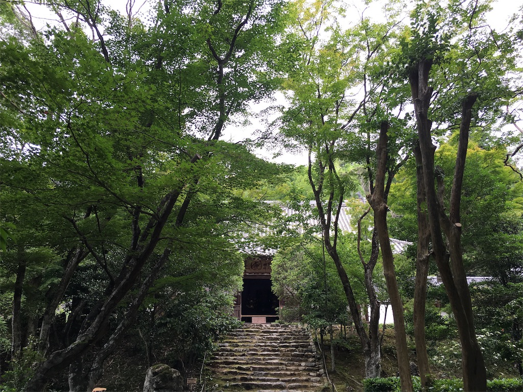 f:id:pdrknshjpd:20160613131251j:image f:id:pdrknshjpd:20160613131251j:image