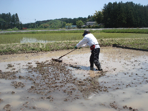 f:id:pecopecope:20120815134031p:plain f:id:pecopecope:20120815134031p:plain