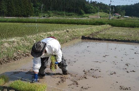 f:id:pecopecope:20120815134147p:plain f:id:pecopecope:20120815134147p:plain