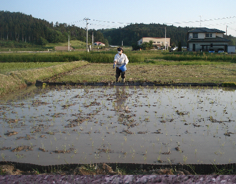 f:id:pecopecope:20120815134212p:plain f:id:pecopecope:20120815134212p:plain