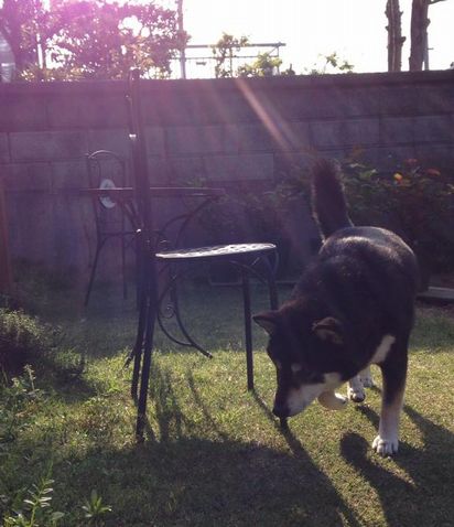 f:id:peko0421:20150429212032j:plain