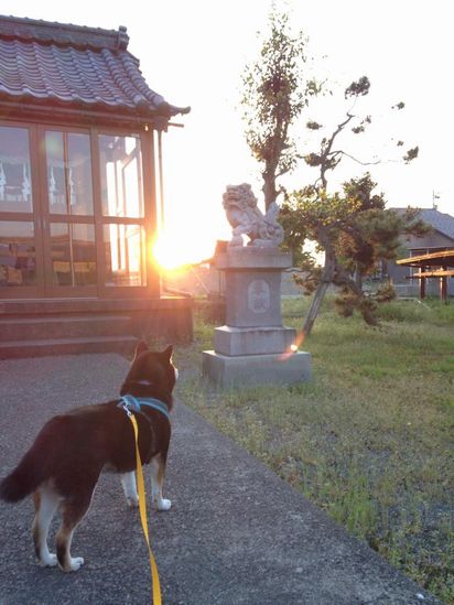 f:id:peko0421:20150429212210j:plain