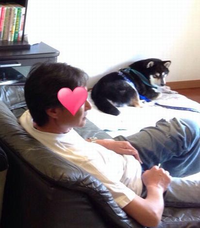 f:id:peko0421:20150922164540j:plain