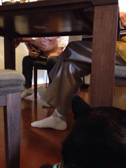 f:id:peko0421:20150922202022j:plain