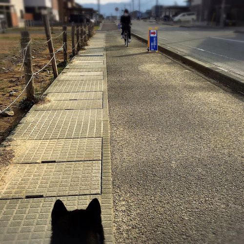 f:id:peko0421:20160306164023j:plain f:id:peko0421:20160306164023j:plain