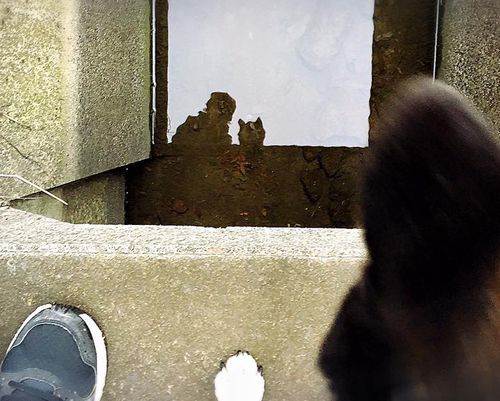 f:id:peko0421:20160308204525j:plain f:id:peko0421:20160308204525j:plain