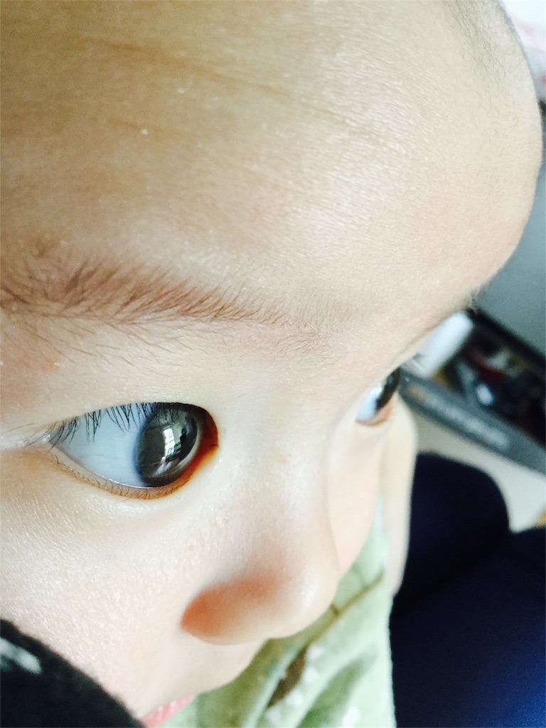 f:id:pekomogu:20160410103329j:image f:id:pekomogu:20160410103329j:image