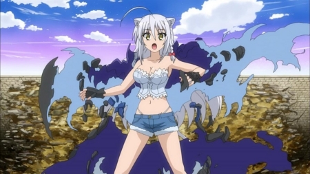 Dog Days Clothing Damage Dog Days Clothing Damage
