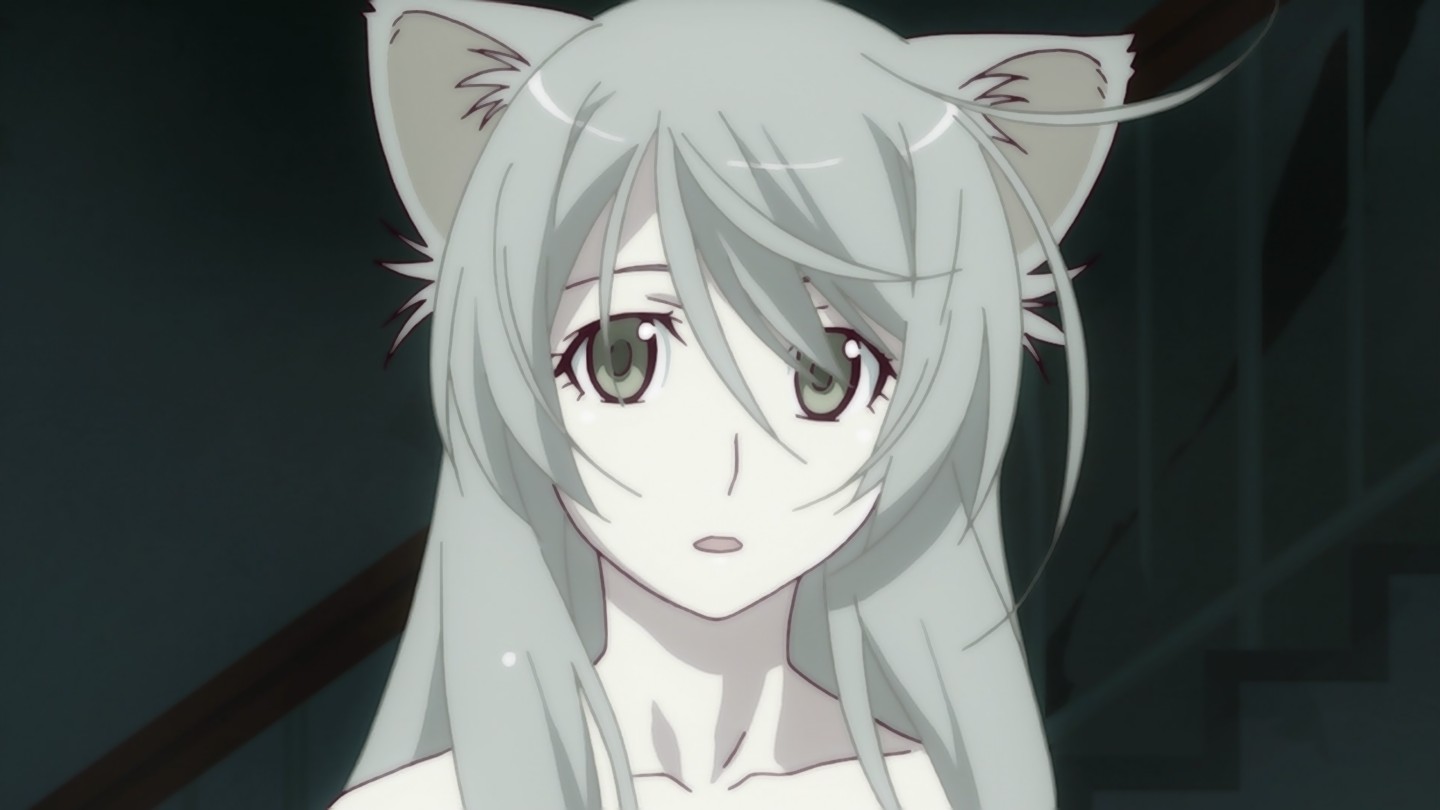Cat Girl Nekomonogatari Cat Girl Nekomonogatari