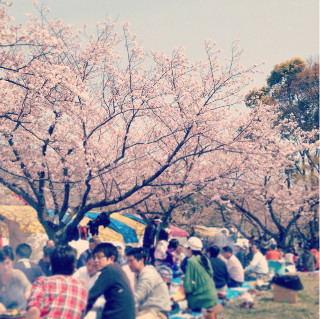f:id:penguinsholiday:20130402020807j:plain f:id:penguinsholiday:20130402020807j:plain