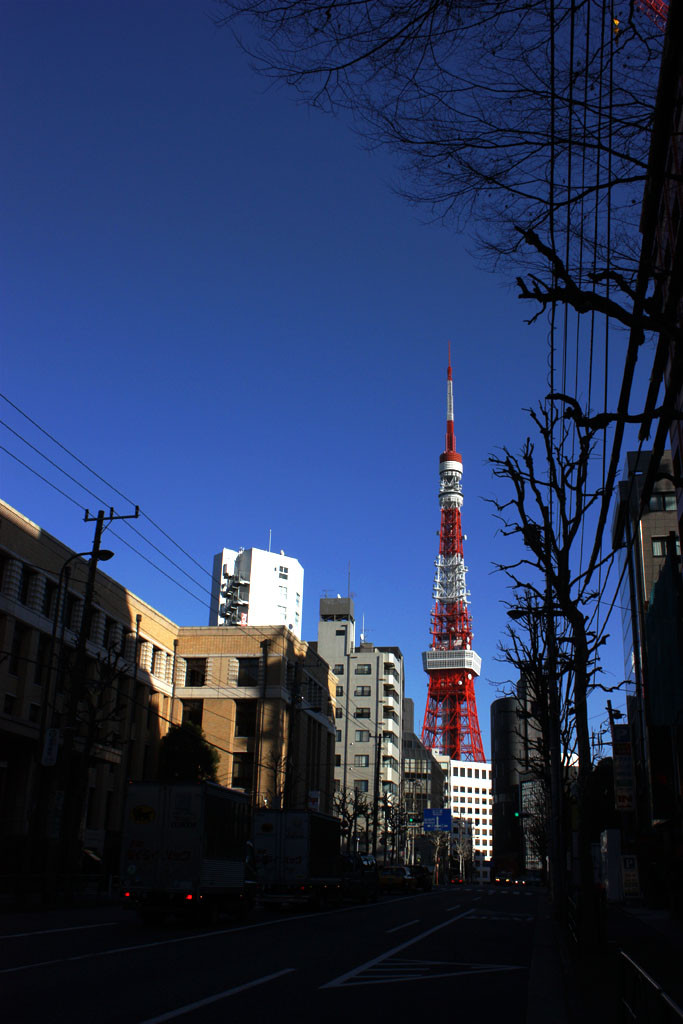 f:id:penpen-0704:20090208012648j:image f:id:penpen-0704:20090208012648j:image