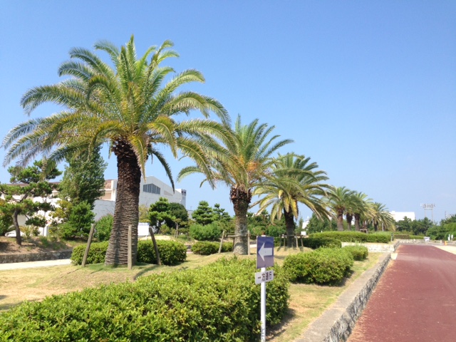 f:id:peppei:20150808122741j:plain f:id:peppei:20150808122741j:plain