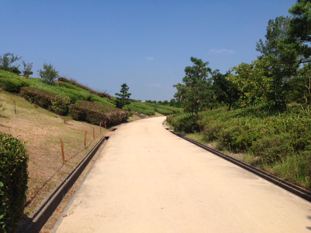 f:id:peppei:20150808124624j:plain f:id:peppei:20150808124624j:plain