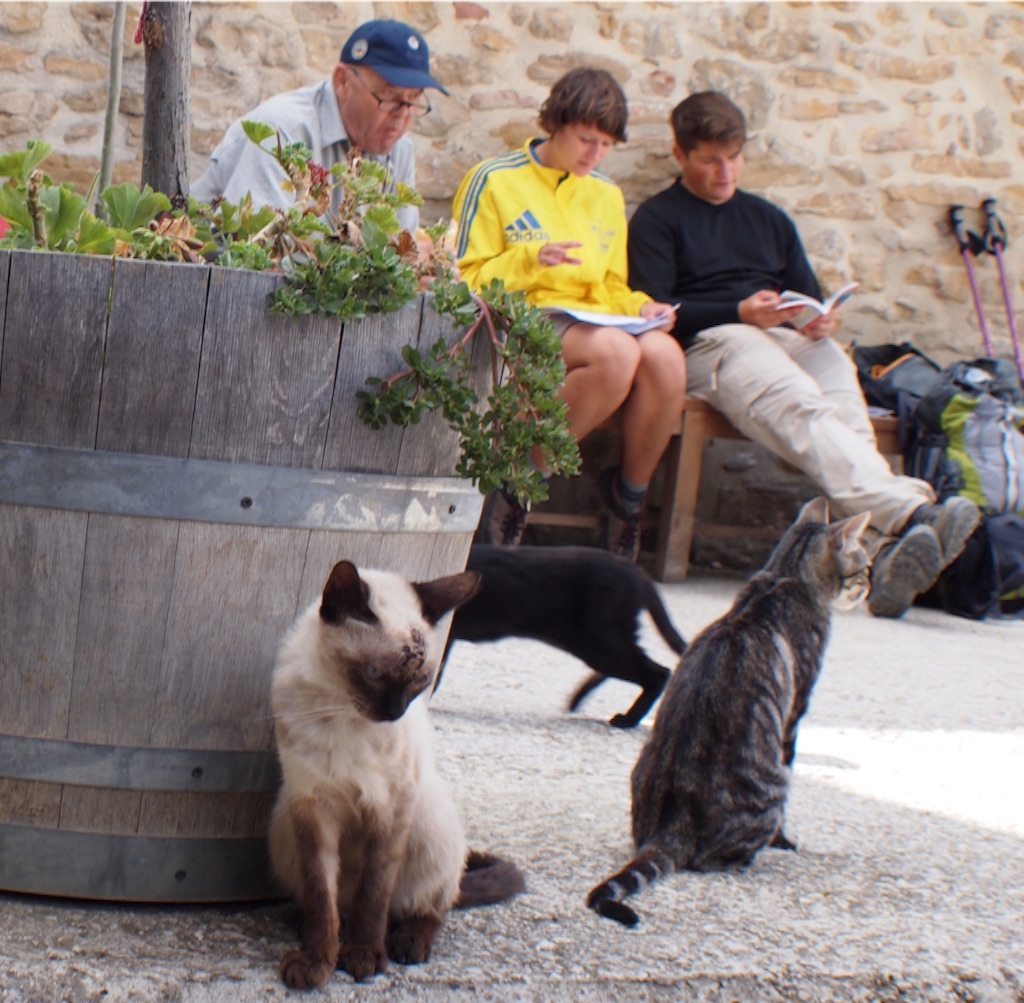 f:id:peregrino:20150822135635j:image f:id:peregrino:20150822135635j:image