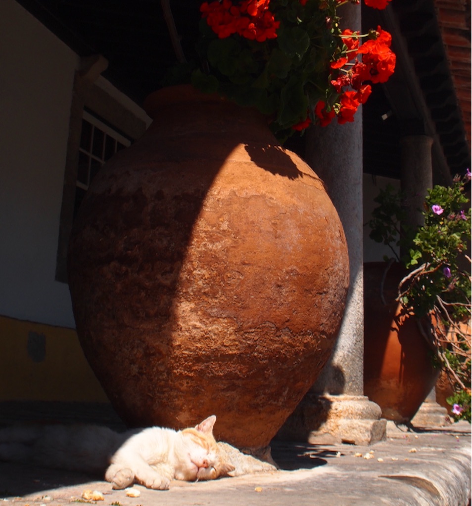 f:id:peregrino:20150822143119j:image f:id:peregrino:20150822143119j:image