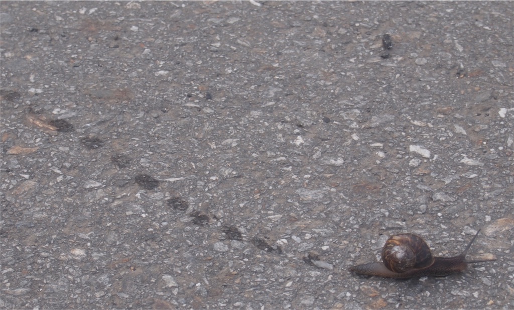 f:id:peregrino:20150923185559j:image f:id:peregrino:20150923185559j:image