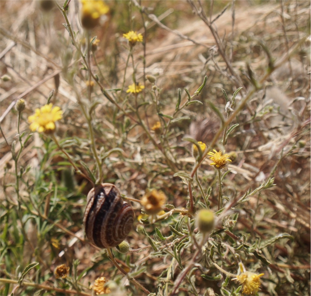 f:id:peregrino:20150929151729j:image f:id:peregrino:20150929151729j:image