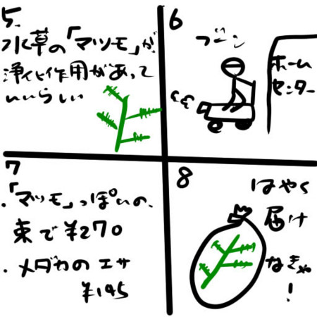 f:id:peroon:20090531165454j:image