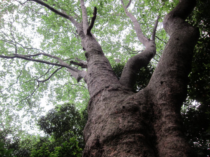 f:id:peroon:20110605153905j:image