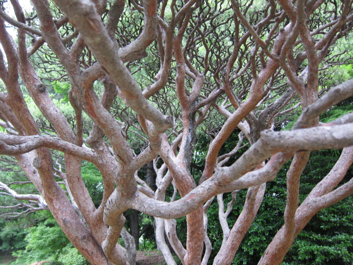 f:id:peroon:20110605154805j:image