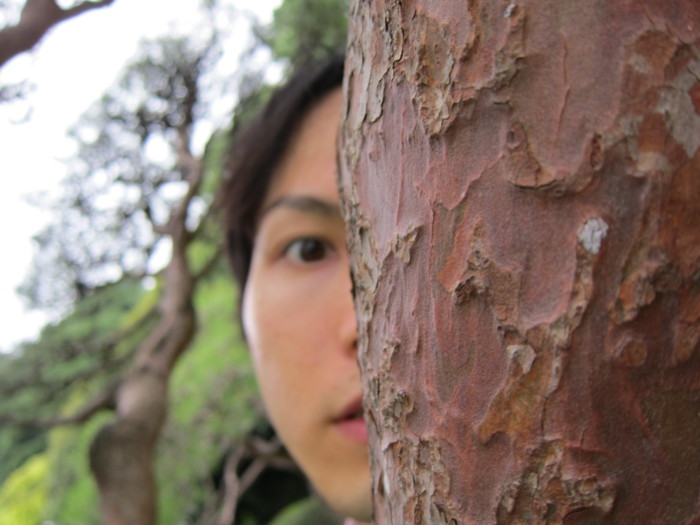 f:id:peroon:20110605163517j:image