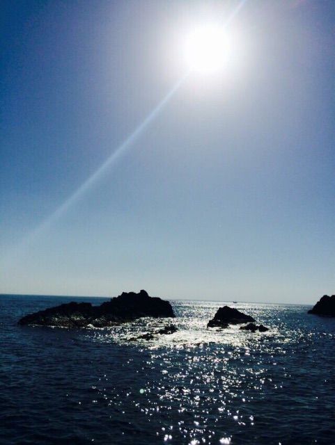 f:id:perruche3:20150506211702j:image f:id:perruche3:20150506211702j:image
