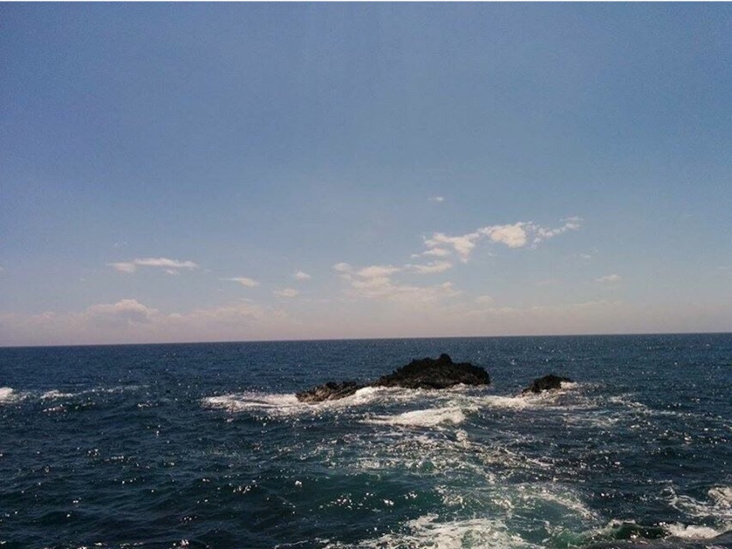 f:id:perruche3:20150801225853j:image f:id:perruche3:20150801225853j:image