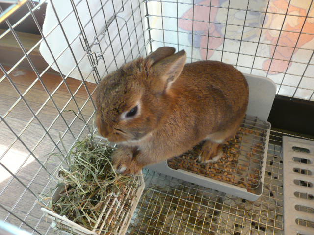 f:id:pertner-partner:20110413161537j:image:w460 f:id:pertner-partner:20110413161537j:image:w460