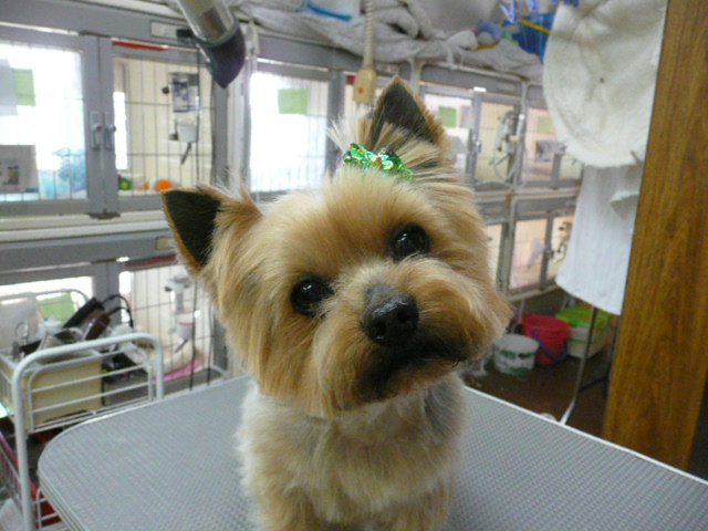 f:id:pertner-partner:20110420163350j:image:w400 f:id:pertner-partner:20110420163350j:image:w400