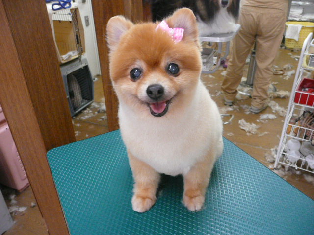f:id:pertner-partner:20110703173826j:image:w460 f:id:pertner-partner:20110703173826j:image:w460
