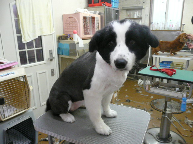 f:id:pertner-partner:20110704174625j:image:w460 f:id:pertner-partner:20110704174625j:image:w460