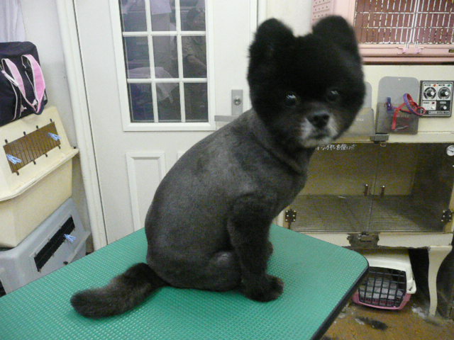 f:id:pertner-partner:20110712181432j:image:w400 f:id:pertner-partner:20110712181432j:image:w400