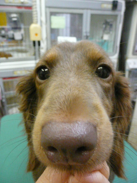 f:id:pertner-partner:20110720174128j:image:w250 f:id:pertner-partner:20110720174128j:image:w250